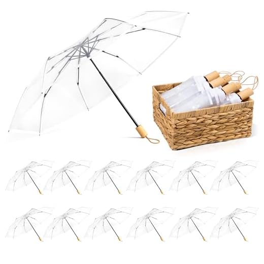Elegant Clear Wedding Umbrellas for Guests