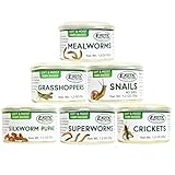 Canned Insect Assortment 6 Pack - Healthy High Protein Treat - For Hedgehogs, Sugar Gliders, Reptiles, Chickens, Lizards, Bearded Dragons, Turtles, Fish, Birds, Opossums, Skunks and other Insectivores
