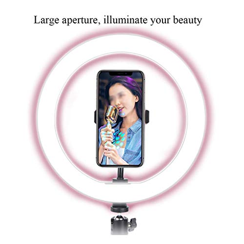 XYSQWZ Handyhalter Für Beauty Fill Light 3-Kamera-live-Broadcast-Support-stativ 10-Zoll-led-ringlicht-stativ (größe: B) – Bild 6