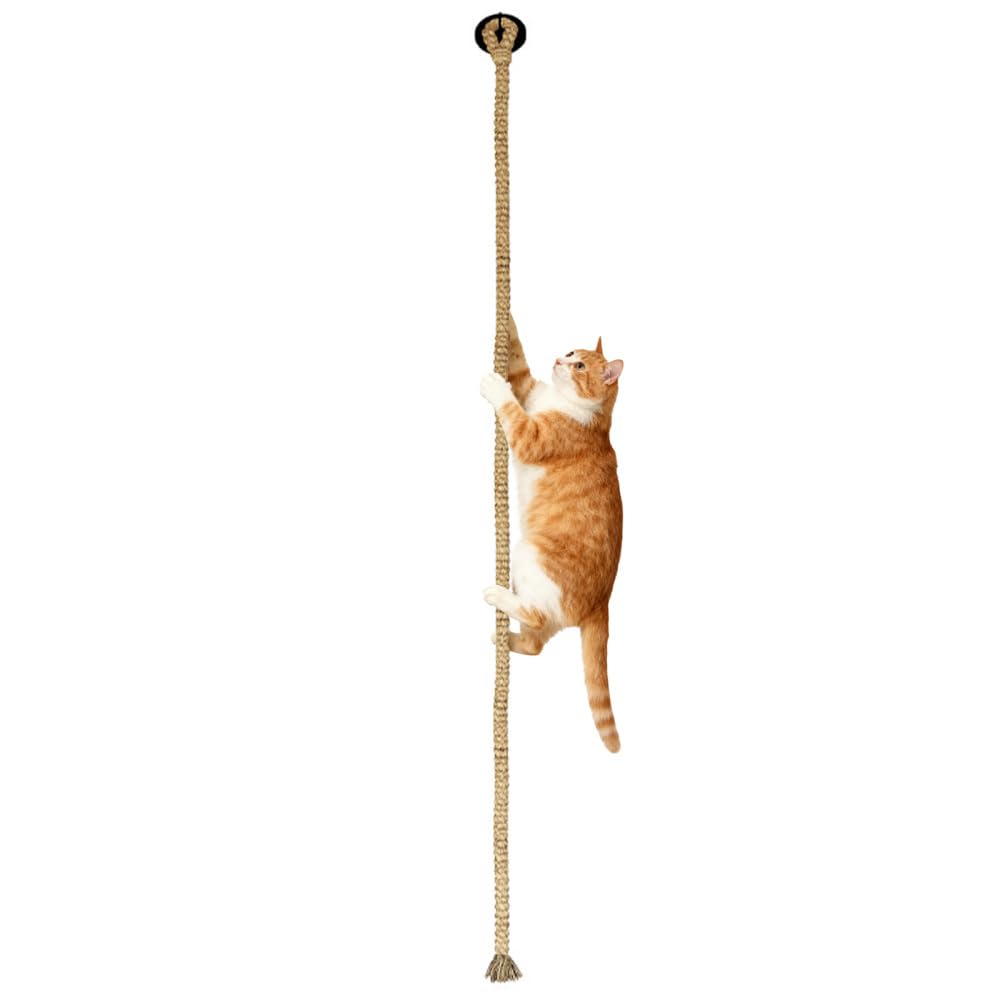 Klimtouw