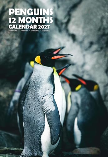 Calendario de pared 2027 de pingüinos a todo color para decorar tu salón