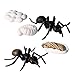 VOSAREA 5 Pcs Fourmi Croissance Figurine Éducatif en Plastique Drôle Réaliste Modèle Jouet Fourmi Figurine Jouet Éducatif pour Enfants Bureau à Domicile