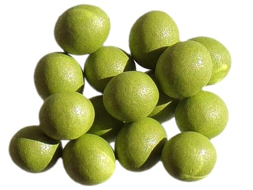 Laitue Goldorac (enrobée) - 15 graines - Lactuca Sativa L. - SEM06