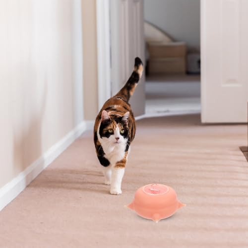 Tétine en silicone pour chiots à 4 stations d'allaitement simultané 200 ml - 5