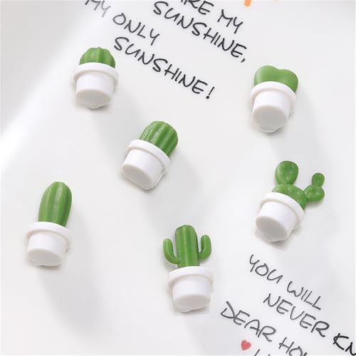6 Imánes decorativos cactus para refrigerador
