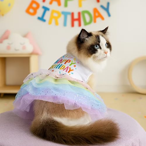 Disfraz de cumpleaños para perros pequeños talla X-Small miniatura 2