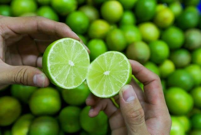 Image of GreenWorld Special Seedless Kolkata Pati Lemon /Nimboo (Pack Of 1 / Guti Kolom) Live Plant,Healthy & Air Layered Plant,''Fruit After 3 to 6 Month''