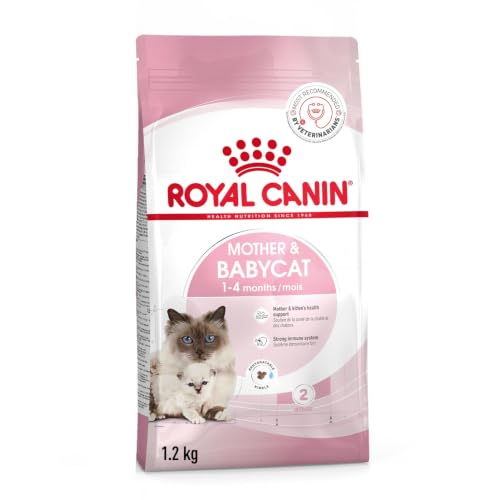 Image of Royal Canin First Age Mother & Babycat Food, 1.2 Kg, Dry Food, Supports Immunity System & Digestive Health, Special Easy Weaning