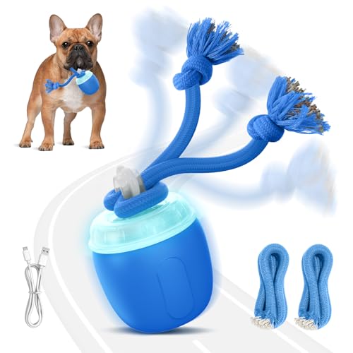 COPHCY Interactive Dog Toys, Automatic Moving and Rolling Dogs Toy with Rope for Medium Large Dogs, Motion-Activated Dog Ball to Keep Them Busy(Blue)