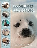 otarie phoque lion de mer  Les phoques et les otaries