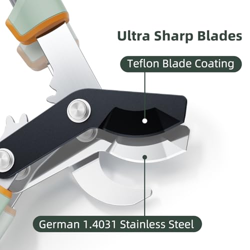 Image of PrunePro Loppers for Tree Trimming Stainless Steel Branch Cutter Heavy Duty Bypass Tree Pruner Rust Resistant Sharp Blade Up to 2 inch Tree Limb Trimmer for Gardening