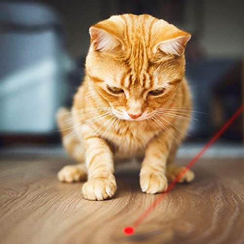 SLE Giocattoli di addestramento per Cani e Gatti