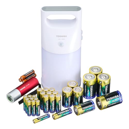 Amazon.co.jp: TOSHIBA(東芝)電池セット X-BOUSAI SET1 | アルカリ