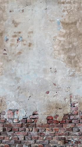 Livingwalls Carta Da Parati Effetto Cemento, In Tessuto Non Tessuto, Grigio E Rosso, 383361, Carta Da Parati Fotografica Industriale, 1,59 X 2,80 M, Made In Germany