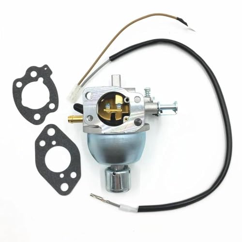 Carburateur pour Generac 073112B NP idéal pour réparer une panne de démarrage