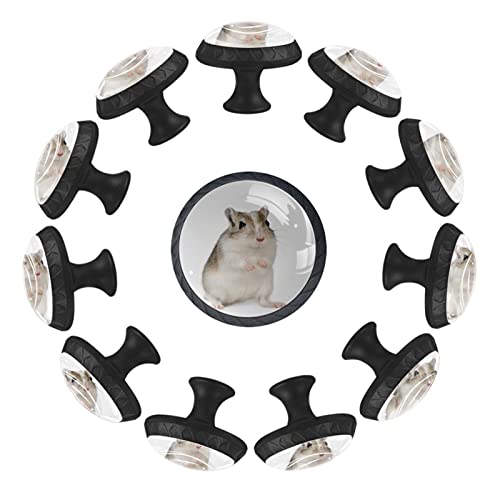 Boutons de tiroir gerbille pour relooker facilement une vieille commode