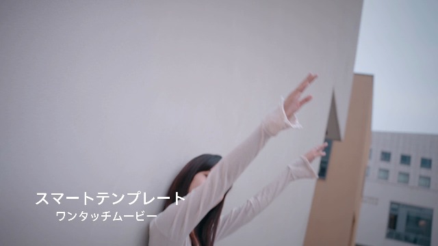 Amazon.co.jp: KOSCHEAL ジンバルスタビライザー、1軸スタビライザー