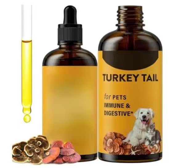 Champignon queue dinde pour chiens, pour levures et démangeaisons cutanées | Santé immunitaire, digestif, peau, énergie, soutien vitaminique des articulations, curcuma et probiotiques