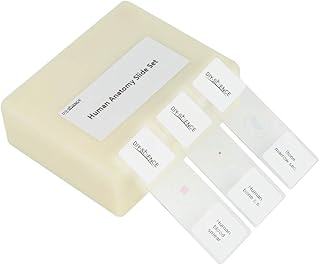 Prepared Human Tissue Anatomy Microscope Slides Set, 17pcs Hand-Prepared Slides Survey The Major Tissues and Organs of Human Body Dedicated to Human Physiology (Human Anatomy)