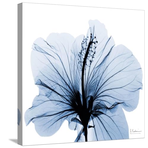 ART.COM Stretched Canvas Print Indigo Hibiscus by Albert Koetsier, 24" x 24" by ART.COM - Used condition - US$93.76