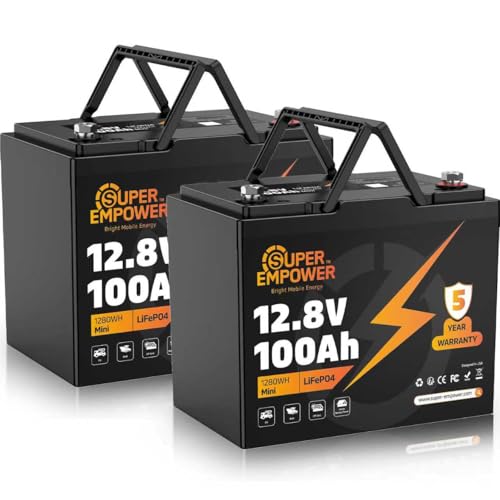 12V 100Ah LiFePO4 Lithium Battery- BCI Group 24, Deep Cycle RV LiFePO4 Battery with Low-Temp Protection, 100A BMS, 3840Wh, Max.15000 Cycles,10-Year Lifespan for RV, Solar, Trolling Motor, (2 PACK)