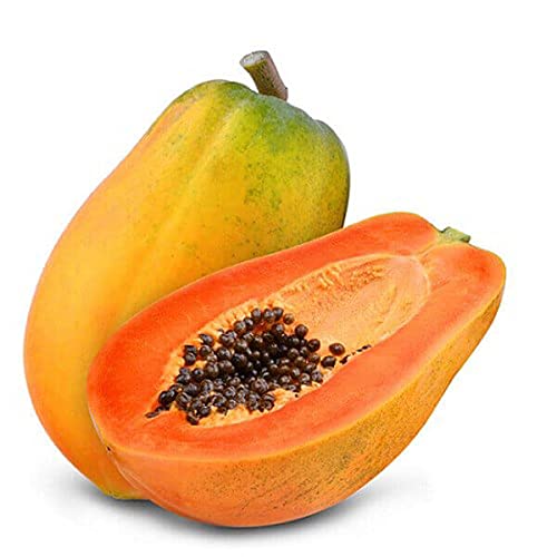 Green Gallery Papaya Organic Seeds for Home Outdoor Gardening Planting (Pack of 30+ Seeds) (B08D4Y4J39) Amazon Price History, Amazon Price Tracker