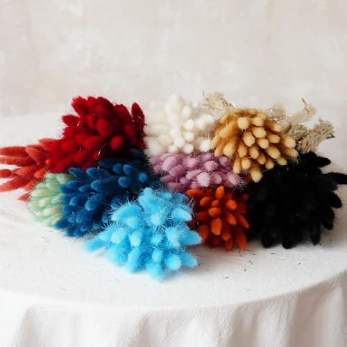 60 piezas de pasto de cola de conejo seco para decoración miniatura 4