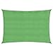 vidaXL Voile d'Ombrage Protection Voile Solaire Voile de Parasol Anti UV Jardin Patio Terrasse Balcon Extérieur 160 g/m² Vert Clair 4x6 m PEHD