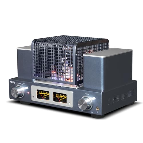 Oilily A300B Tube Amplifier 300BX2 Single-Ended Class A Tube Integrated Amplifier Headphones Available (Silver)