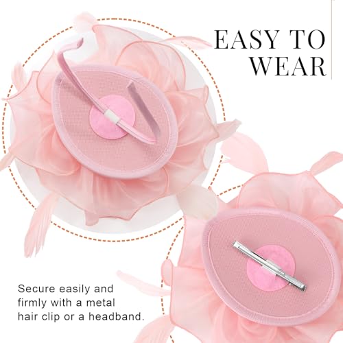 Image of DRESHOW Fascinators Hat Tea Party Headwear Ribbons Feathers on a Headband and a Clip for Women