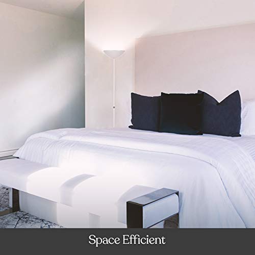 Brightech SkyLite LED Floor lamp for Living Rooms & Offices - Dimmable Tall Lamp