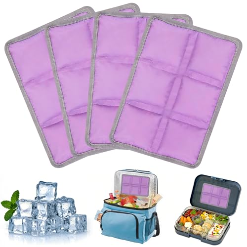LQTSLFM Poche de Glace en Gel Reutilisable, 4 Pièces Poche de Glace pour Glacière, Blocs Réfrigérants pour Boîtes à Déjeuner, Pain de Glaces pour Sac...