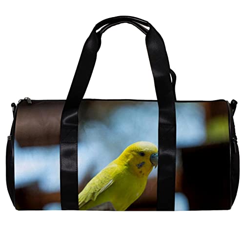 Deportes Duffel Gym Bag Birds Parrot theme 78, Multicolor, 45x23x23cm/17.7x9x9in, Personalidad Cover