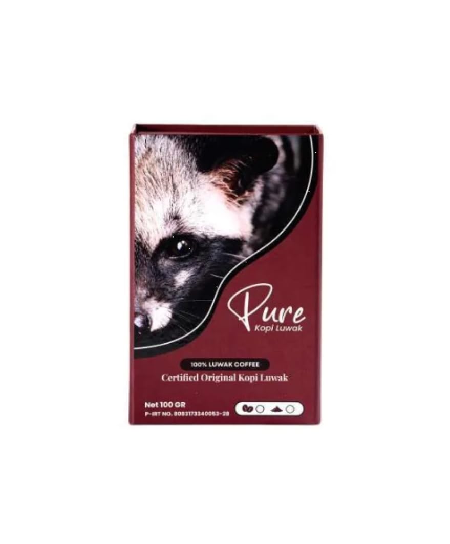 Amazon.com : Pure Luwak Coffee 100gr - Classic Box Kopi Weasel