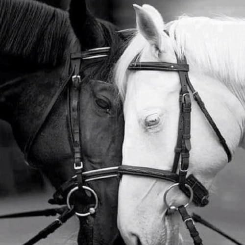 Forgiveness: a virtue of the soul