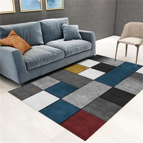 Tapis salon lavable et antidérapant pour simplifier l'entretien - 2