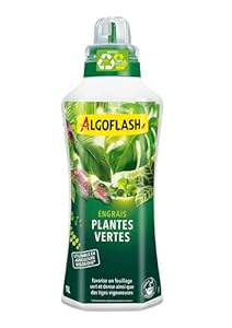 Algoflash Engrais Liquide Plantes Vertes, Utilisable en Agriculture Biologique - 1 L, Marron