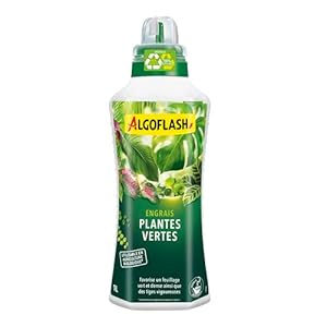 Algoflash Engrais Liquide Plan...