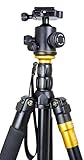Producto nuevo. Alta calidad Professional 157,48 cm cámara trípode de carbono monopié y cabezal de rótula para todo tipo de Canon Sony, Nikon, Samsung, Panasonic, Olympus, Kodak, Fuji, cámaras de fotos y cámara de vídeo