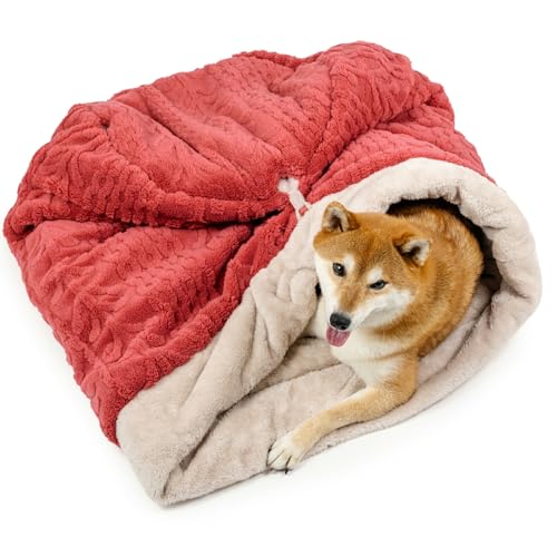 ybgp_CX  xbh ~p Q NbV A {A ^ Q i57×95cmj ybgxbh ybg\t@[ ybgNbV ԊO 􂦂   ybg ~ 킢   ycX72XܓWJ2025