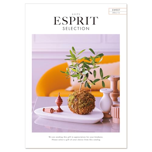 n[jbN J^OMtg ESPRIT (GXv) XEB[g 3,500~R[X FhJ|CZ`A