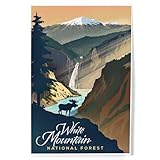 Lantern Press White Mountain National Forest, New Hampshire, Lithograph, 8x12 Inch Art Print Wall Decor