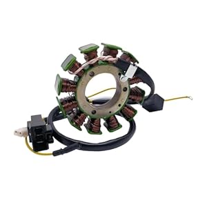Tchuyan Stels Kazma Panda 500cc Stator Spule
