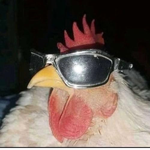 Jesus beats Titelbild