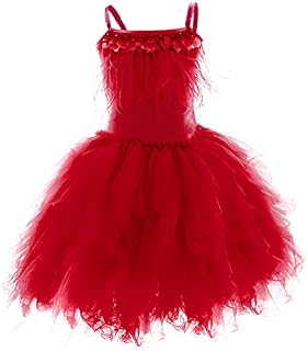 Kids Girls Spaghetti Strap Lace Feather Fringes Tutu Tulle Swan Princess Dress Ruffles