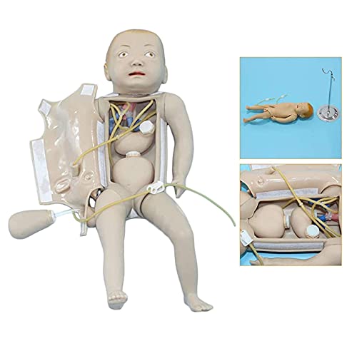 Maniquí de intubación Estudio Modelo de enseñanza Entrenador de manejo de vías respiratorias, Modelo de Entrenamiento médico Modelo de enfermería para bebés para enfermería Entrenamiento médico Sumi