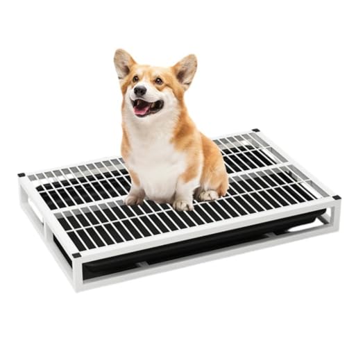 Emidor pgCgCAgCgCAybgg[jOgCAABSAeʁAȒPAqIiubNA[78 x 50 x 8cm]A^ɓKĂ܂AU+Apbhj ([95×62×10cm] ^E^,B)