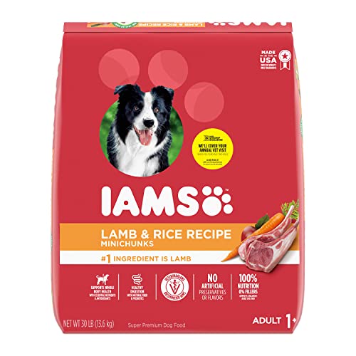 IAMS Minichunks Adult Dry Dog Food Lamb & Rice Recipe ...