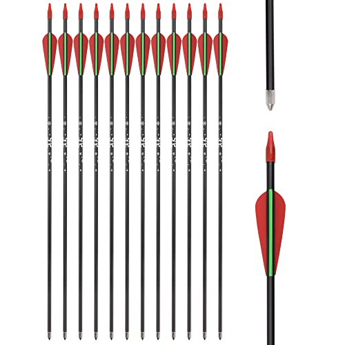SZEO Archery Arrows 26inch Fiberglass Practice Hunting and Target Arrows for Compound Recurve Bow (12pcs)