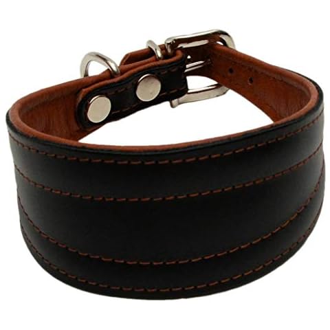 ZOOLESZCZ BLACK with BROWN linning DOG PUPPY COLLAR for GREYHOUND SALUKI LURCHER WHIPPET Real Leather Handmade (19.5" long For Neck Sizes 14" To 18") Cover